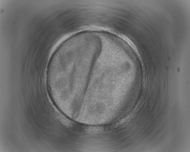 X0000080721183200701051027