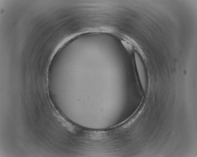 X0000080721184200701051027