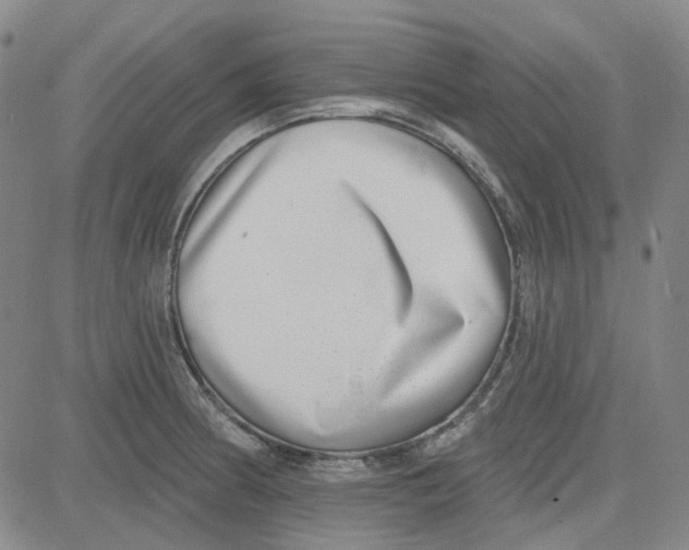 X0000080721186200701051027