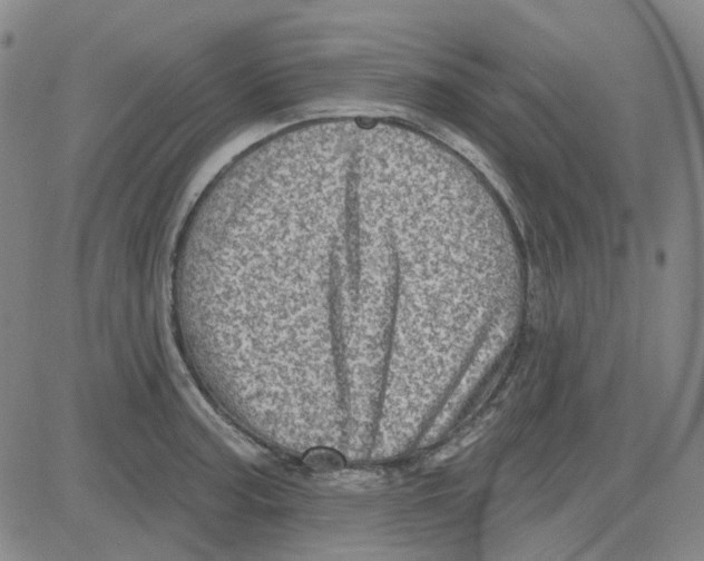 X0000080721187200701051027