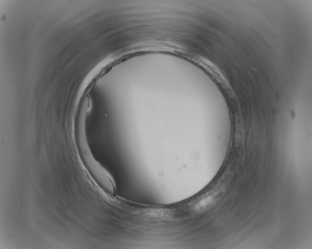 X0000080721188200701051026