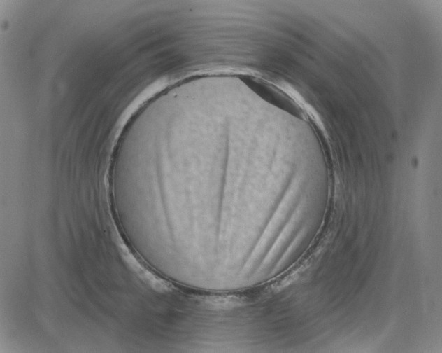 X0000080721189200701051026