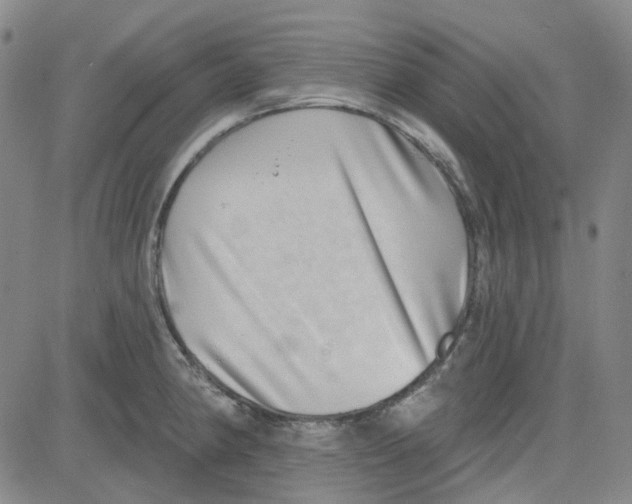 X0000080721190200701051026