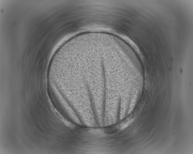 X0000080721191200701051026