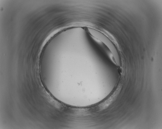 X0000080721192200701051026