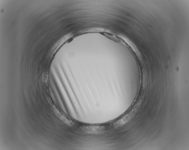 X0000080721193200701051026