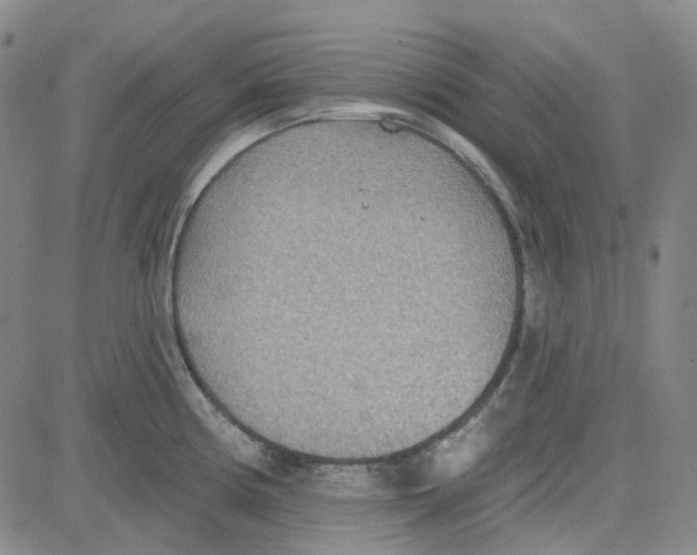 X0000080721194200701051026