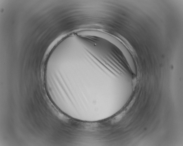 X0000080721196200701051026