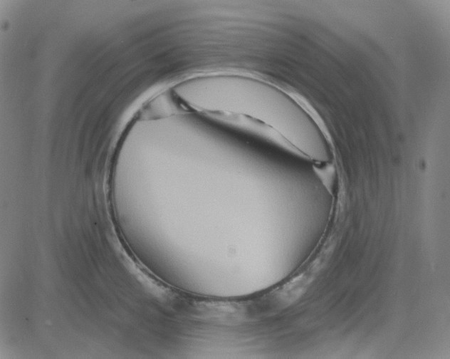 X0000080721197200701051026