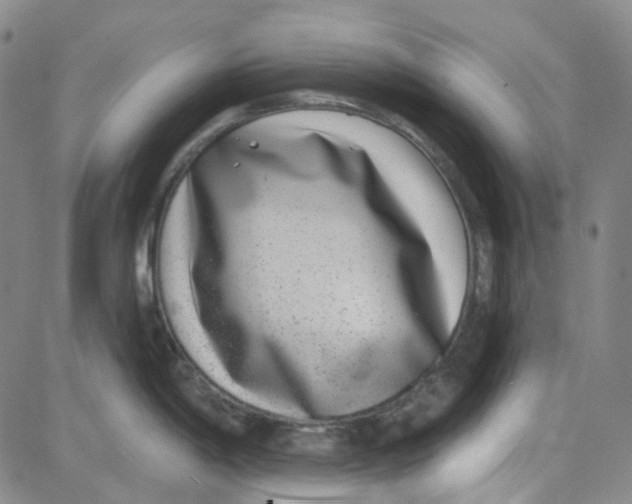 X0000080721198200701051026