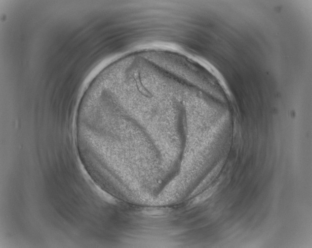 X0000080721199200701051026