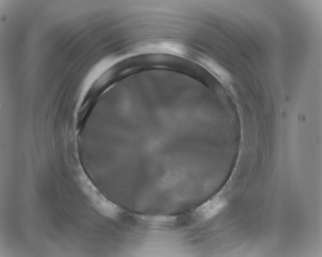 X0000080721200200701051026