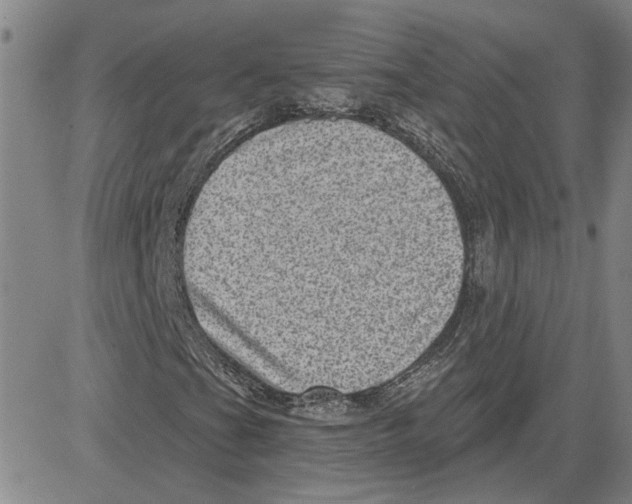 X0000080721201200701051025