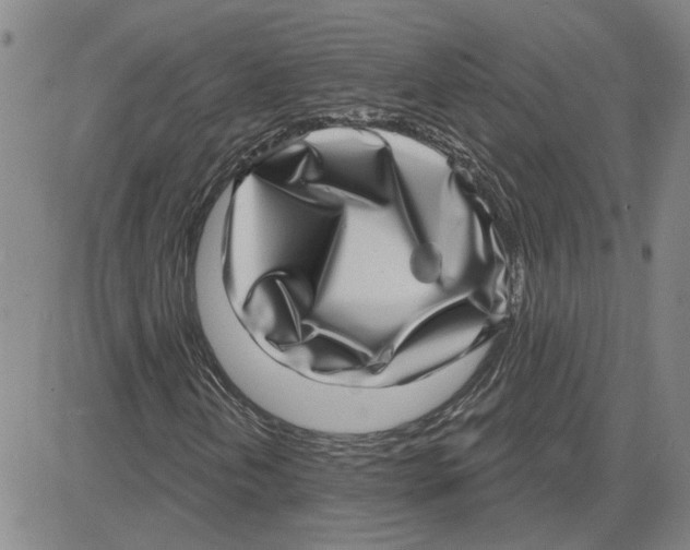 X0000080721202200701051025