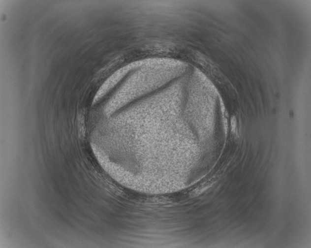 X0000080721203200701051026