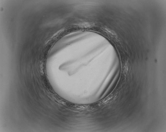 X0000080721205200701051026