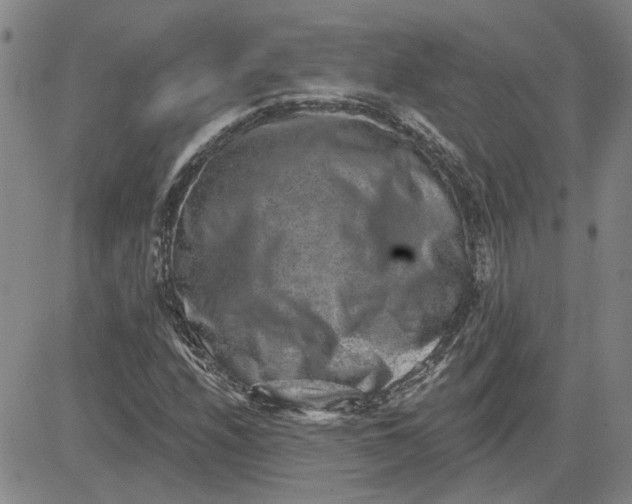 X0000080721208200701051026