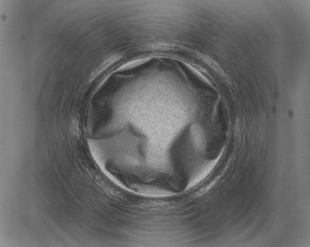 X0000080721209200701051026