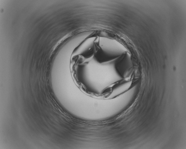 X0000080721210200701051026