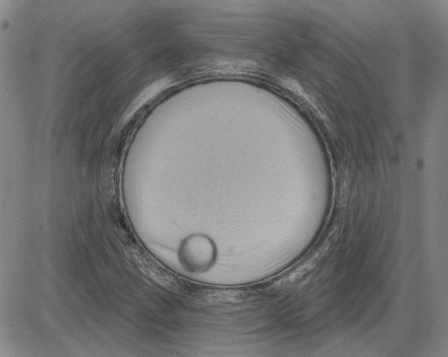 X0000080721211200701051026