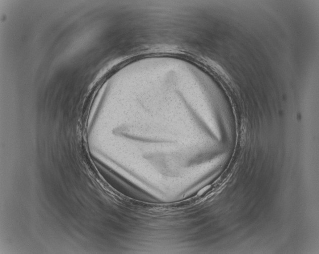 X0000080721212200701051026