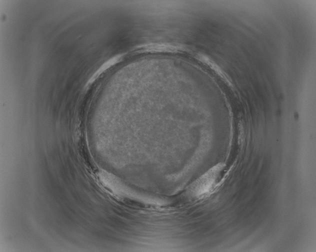 X0000080721213200701051026