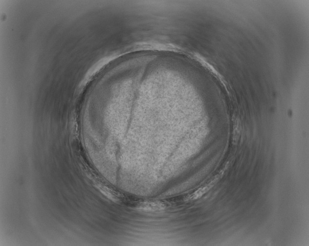 X0000080721215200701051026