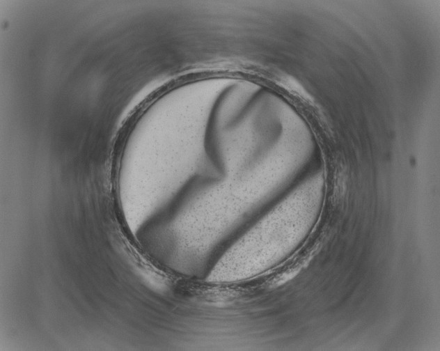 X0000080721216200701051026