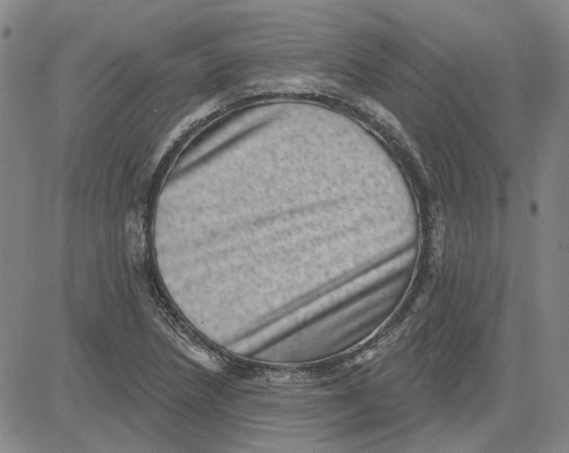 X0000080721218200701051026