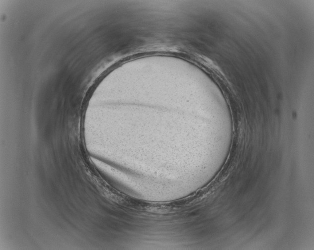 X0000080721220200701051026