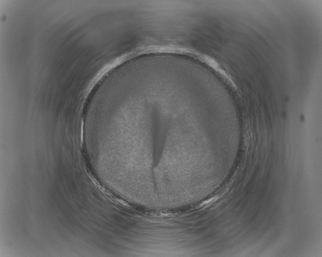 X0000080721221200701051026