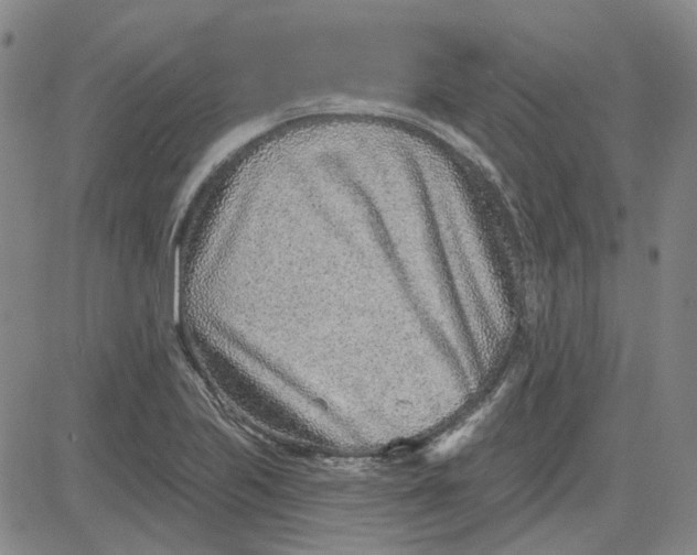 X0000080721223200701051026