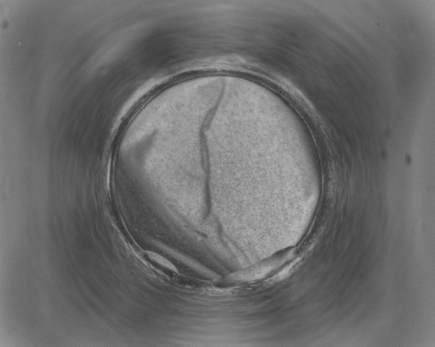 X0000080721224200701051026