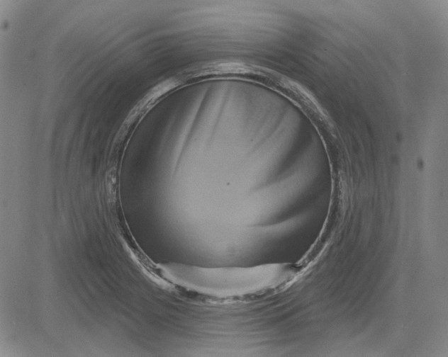 X0000080721225200701051026