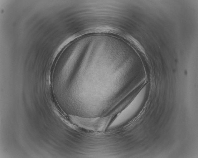 X0000080721226200701051026