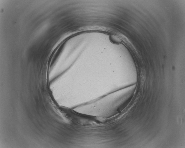 X0000080721228200701051026