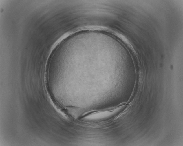 X0000080721229200701051026