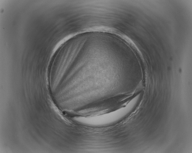 X0000080721230200701051026