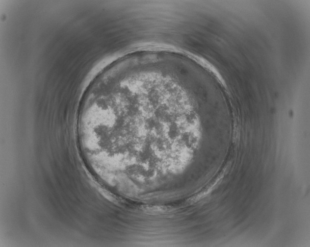 X0000080721231200701051026