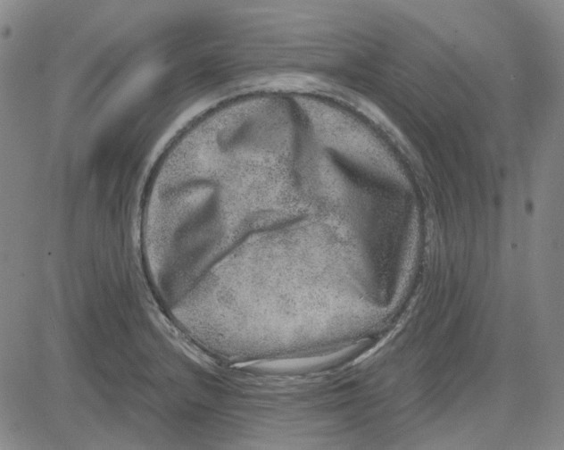 X0000080721232200701051026