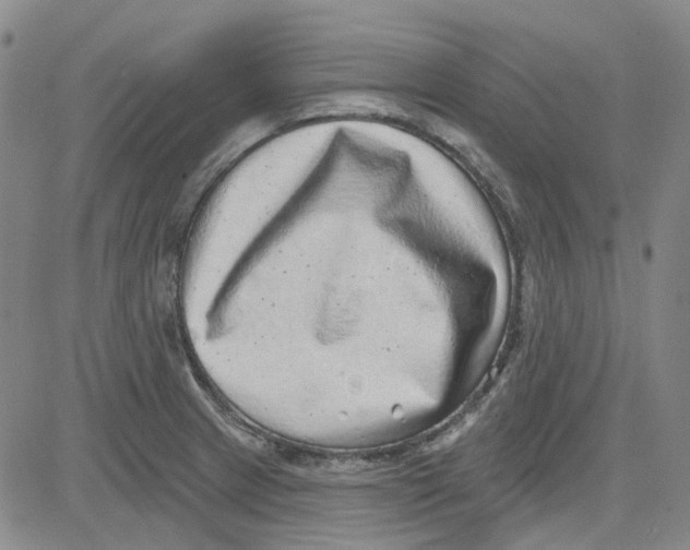 X0000080721233200701051026