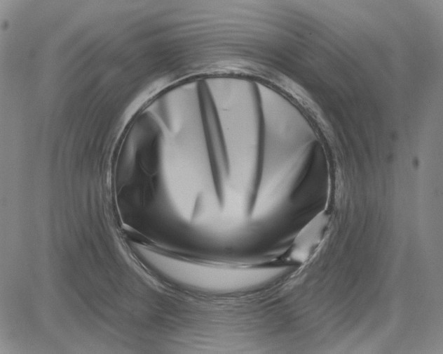 X0000080721234200701051026