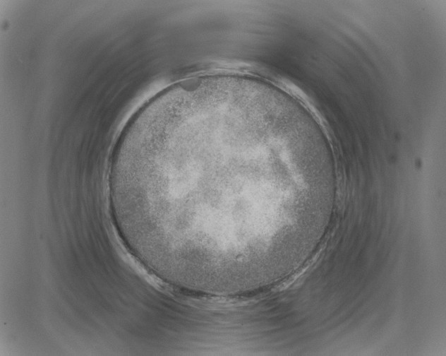 X0000080721235200701051026