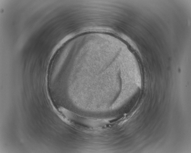 X0000080721237200701051026