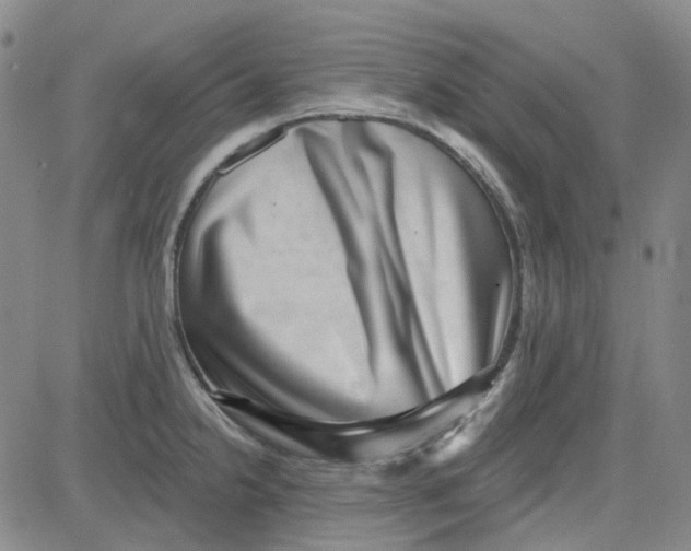 X0000080721238200701051026