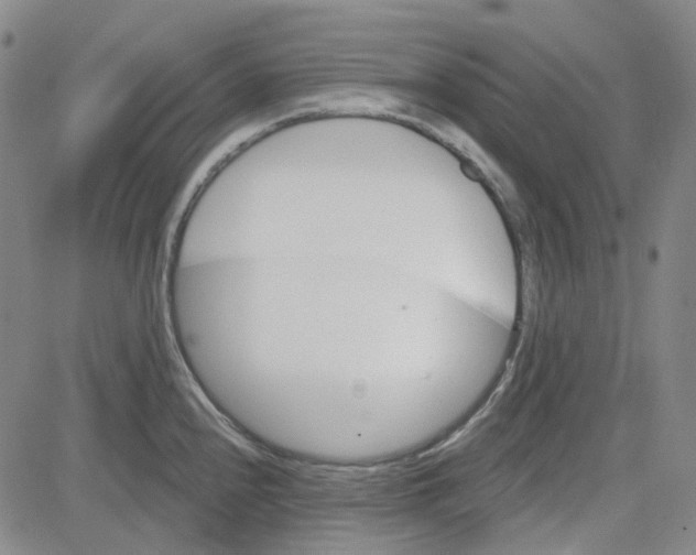 X0000080721240200701051026