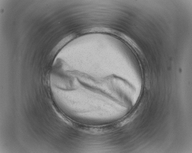 X0000080721241200701051026