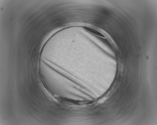 X0000080721244200701051026