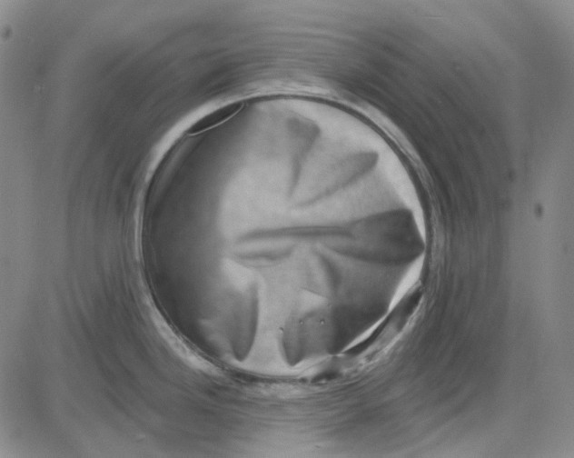 X0000080721246200701051026