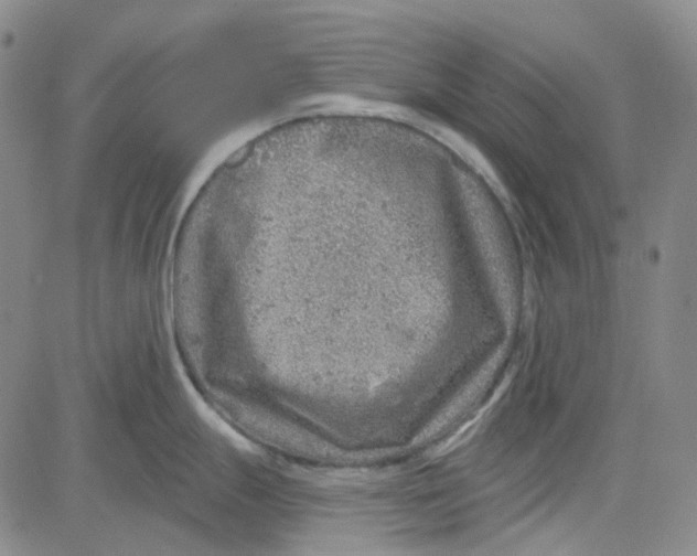 X0000080721247200701051026